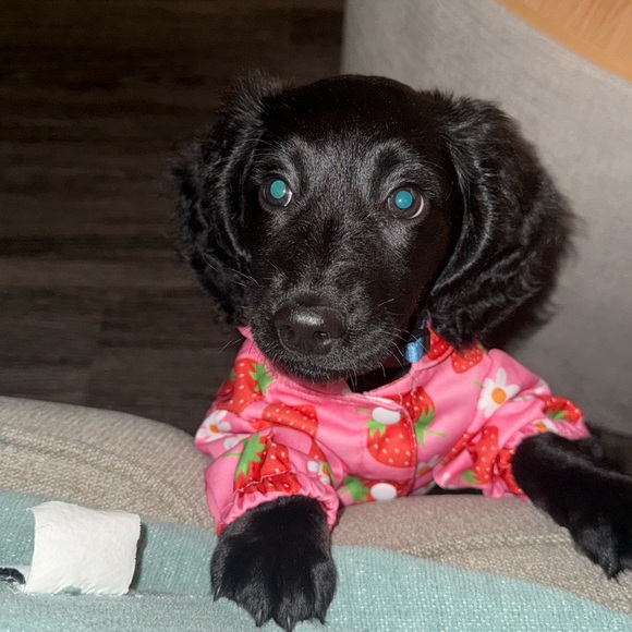 Meet your Posher, Mcclain - Picture 1 of 1